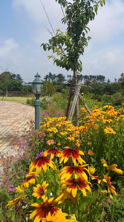 Baghdad House Villa Jeju Buitenkant foto