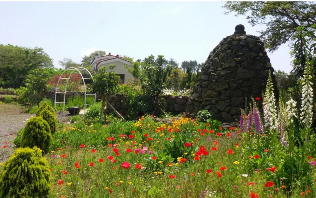 Baghdad House Villa Jeju Buitenkant foto