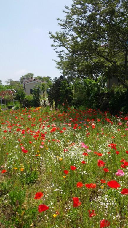 Baghdad House Villa Jeju Buitenkant foto