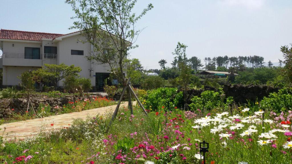 Baghdad House Villa Jeju Buitenkant foto