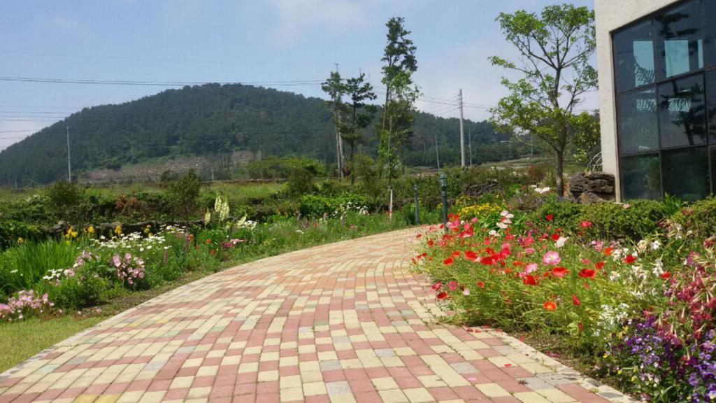 Baghdad House Villa Jeju Buitenkant foto