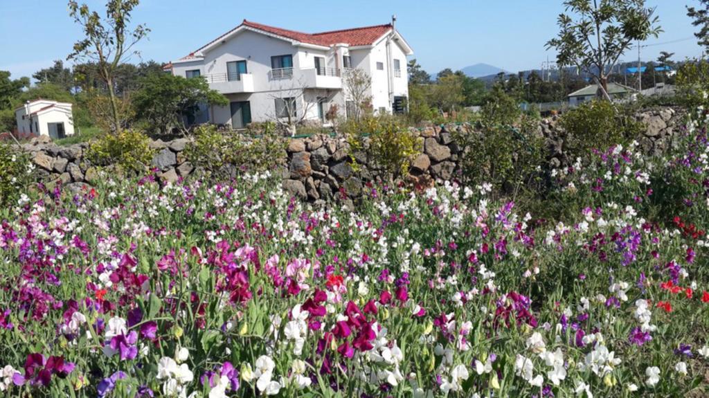 Baghdad House Villa Jeju Buitenkant foto