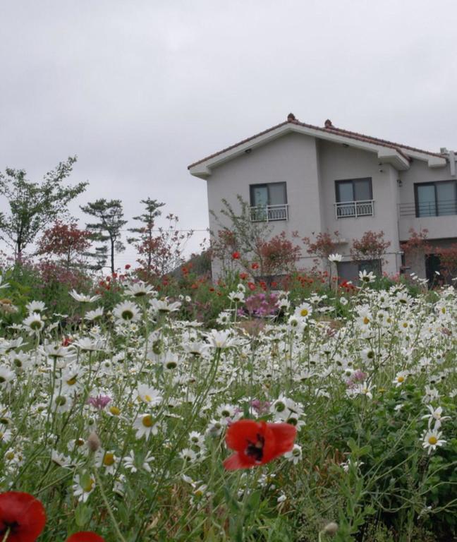 Baghdad House Villa Jeju Buitenkant foto