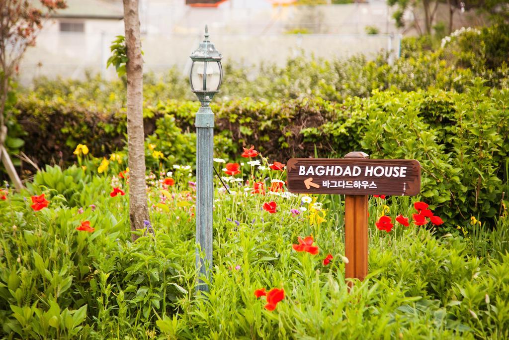 Baghdad House Villa Jeju Buitenkant foto