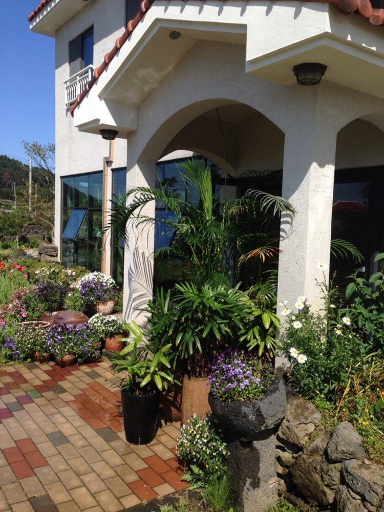 Baghdad House Villa Jeju Buitenkant foto